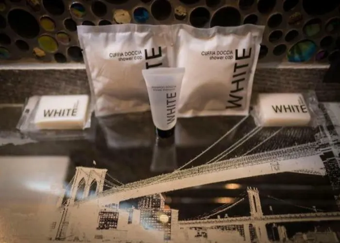 Opera House Guest, Centro Storico Rome